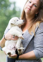 Image showing Small Border Collie puppy with blue eye in the arms of a woman