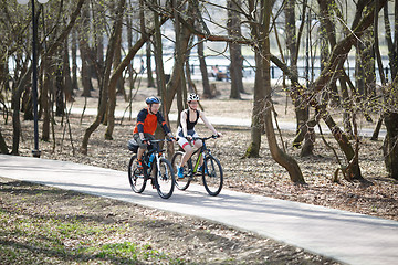 Image showing Photo of forest with cyclists