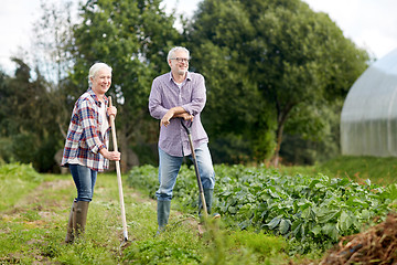 Image showing senior couple with shovels at garden or farm