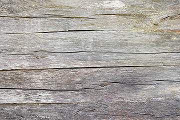 Image showing fibers on old oak wood plank