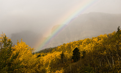 Image showing Rainbow Fall Color Rocky Mountains Glacier National Park Montana