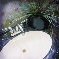 Image showing Bathroom sink decorated with plant