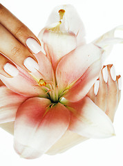 Image showing beauty delicate hands with manicure holding flower lily close up isolated on white