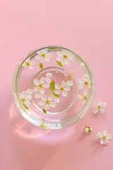 Image showing Cherry blossom in vase