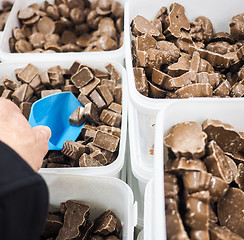 Image showing Unrecognizable person scooping assorted pieces of chocolate with