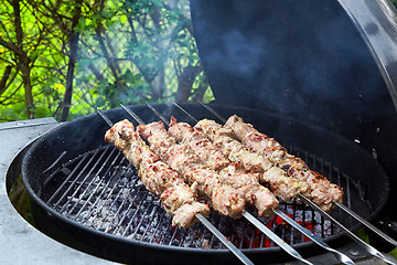 Image showing meat kebab skewers