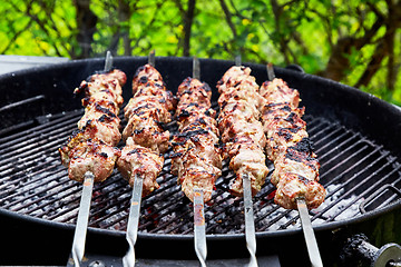 Image showing meat kebab skewers