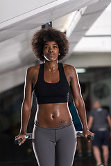 Image showing black woman doing parallel bars Exercise