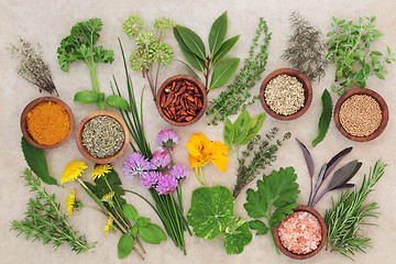 Image showing Fresh and Dried Herb Selection