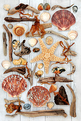 Image showing Seashell and Driftwood Abstract Art