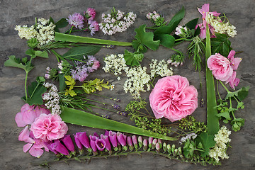 Image showing Meidicnal Herbs and Flowers