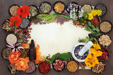 Image showing Flowers and Herbs for Herbal Medicine