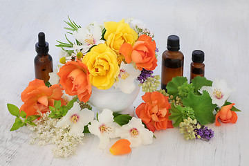 Image showing Flowers for Essential Oils