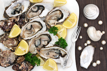 Image showing Plate of Oysters