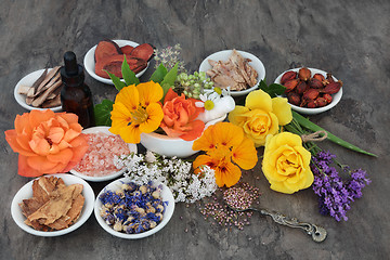 Image showing Flowers and Herbs for Natural  Healing