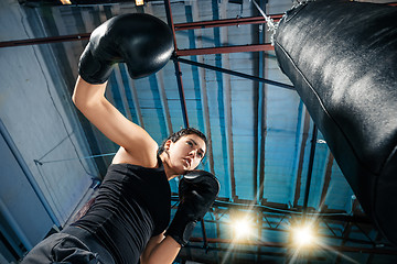 Image showing The female boxer training at gym