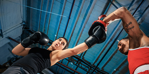 Image showing The female boxer and afro american male boxer.