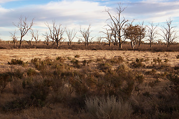 Image showing hard dry land