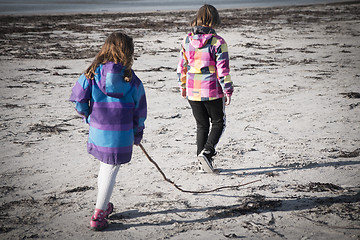 Image showing Exploring the Beach