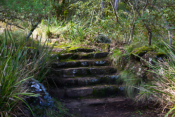 Image showing the steps