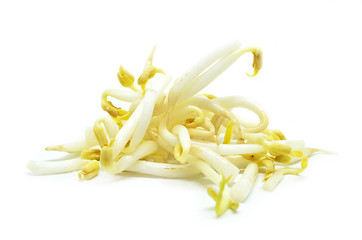 Image showing Pile of bean sprouts