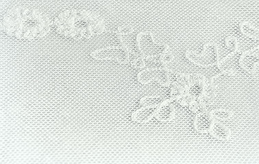 Image showing Part Of A Floral Lace Background