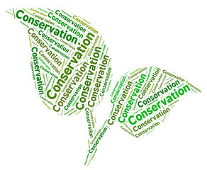 Image showing Conservation Word Represents Eco Friendly And Ecology