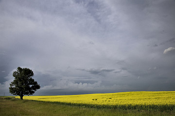 Image showing Storm Clouds Saskatchewan