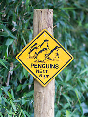 Image showing Road sign caution for birds pinguins