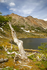 Image showing Greenery in mountain range