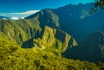 Image showing Greenery in Peru