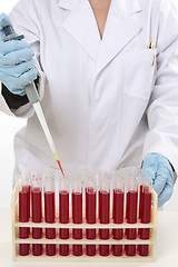 Image showing Scientist using pipette to extract samples