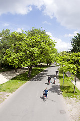 Image showing bicycle riders vondel park amsterdam