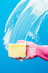 Image showing Professional window cleaner with sponge