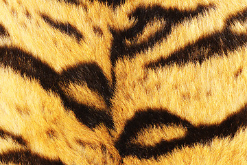 Image showing close up of tiger black stripes on fur