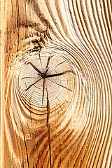 Image showing detail of wooden knot on spruce plank