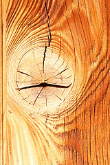 Image showing colorful spruce wood texture