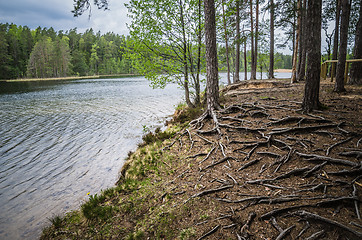 Image showing Spring landscape in the forest lake
