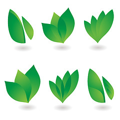 Image showing leaf icon