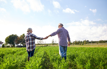 Image showing happy senior couple holding hands at summer farm