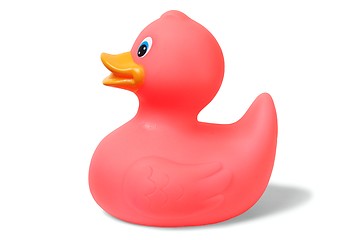 Image showing Pink rubber duck