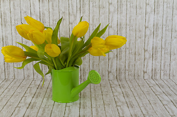 Image showing Yellow tulips in green watering can