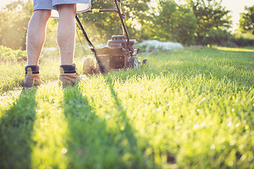 Image showing Young man mowing the grass