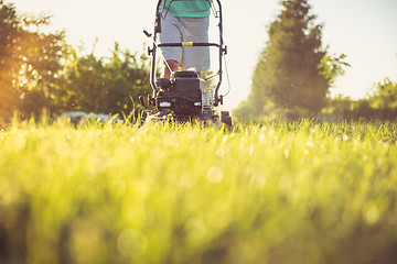 Image showing Young man mowing the grass