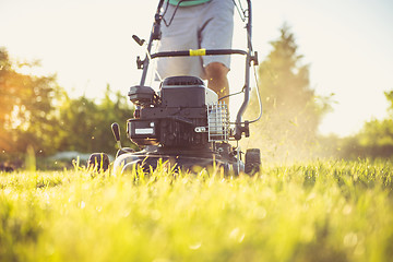 Image showing Young man mowing the grass