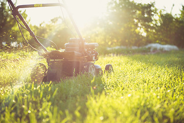 Image showing Young man mowing the grass