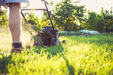 Image showing Young man mowing the grass