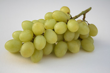 Image showing bunch of grapes