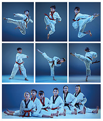 Image showing The studio shot of group of kids training karate martial arts