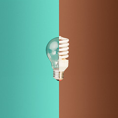 Image showing Old and new light bulbs together